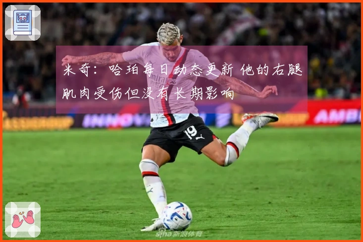 米奇：哈珀每日动态更新 他的右腿肌肉受伤但没有长期影响