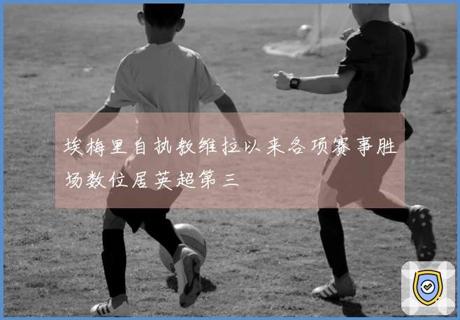 埃梅里自执教维拉以来各项赛事胜场数位居英超第三