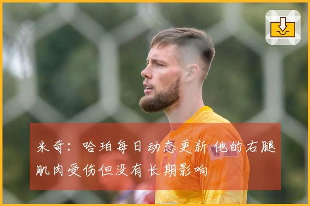 米奇：哈珀每日动态更新 他的右腿肌肉受伤但没有长期影响
