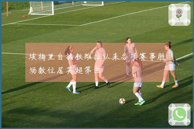 埃梅里自执教维拉以来各项赛事胜场数位居英超第三